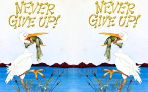 never-give-up